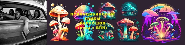 spice Медногорск