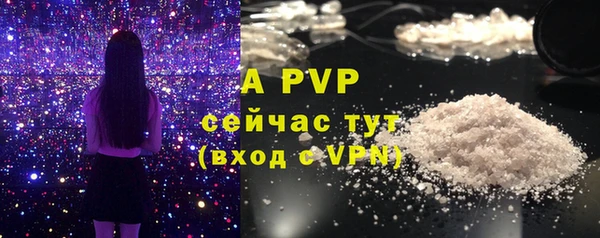 СК Михайлов