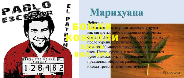 ПСИЛОЦИБИНОВЫЕ ГРИБЫ Медвежьегорск