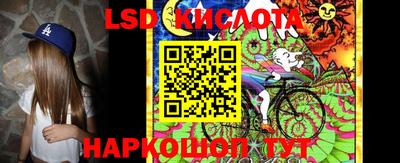 прущие грибы Гатчина