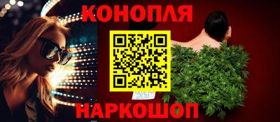 прущие грибы Гатчина