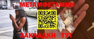 прущие грибы Гатчина