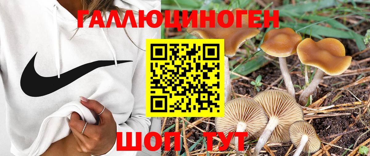 Каннабис  Метадон  Мефедрон   Советский  Вход с VPN  Гашиш  Кодеин 