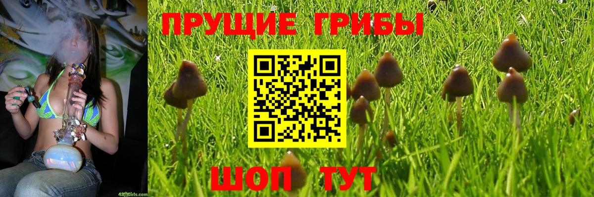 Галлюциногенные грибы мухоморы Советский