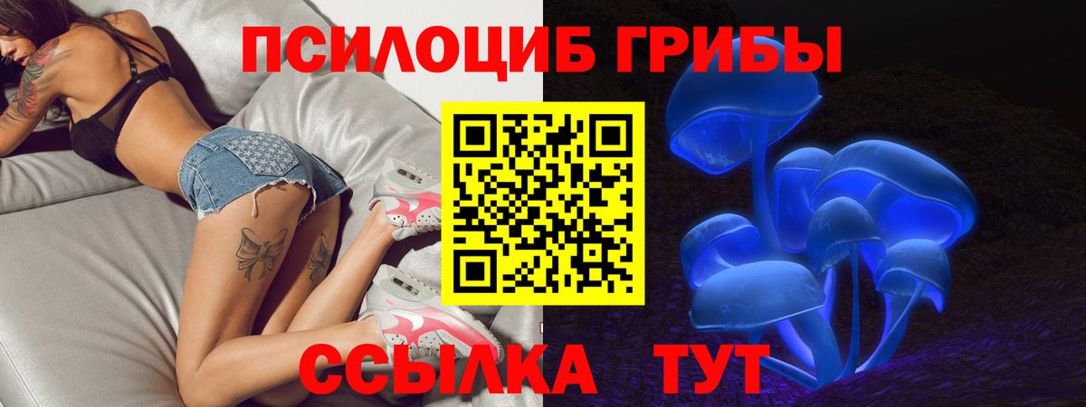 Галлюциногенные грибы MAGIC MUSHROOMS  Вход с VPN  Советский 